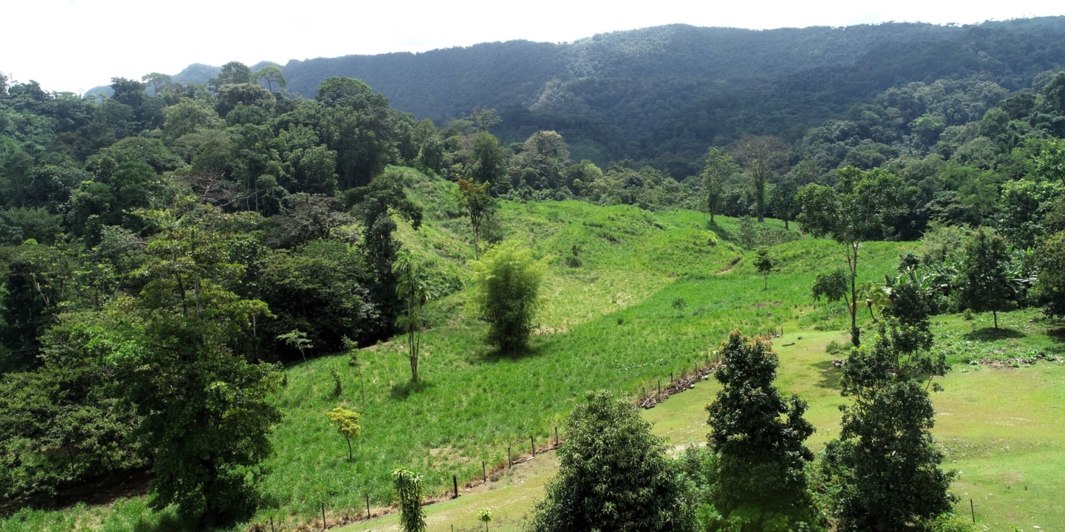7 (1) 170 Acre Farm with Easy Access, Legal Water, Mountain Views, Forest & Abundant Water in Rio Claro Costa Rica