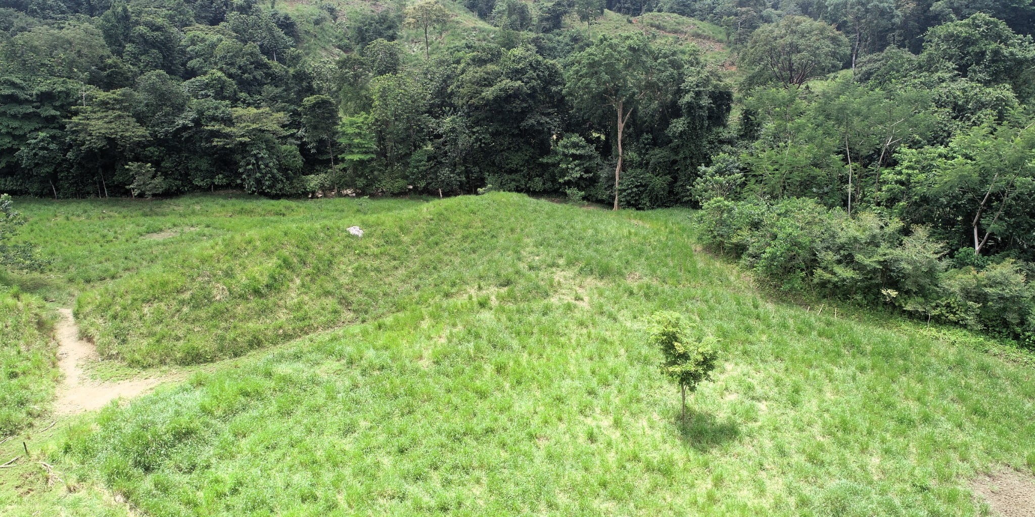 5 (10) 170 Acre Farm with Easy Access, Legal Water, Mountain Views, Forest & Abundant Water in Rio Claro Costa Rica