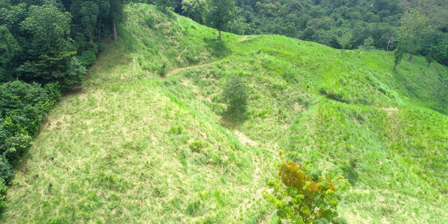 5 (9) 170 Acre Farm with Easy Access, Legal Water, Mountain Views, Forest & Abundant Water in Rio Claro Costa Rica