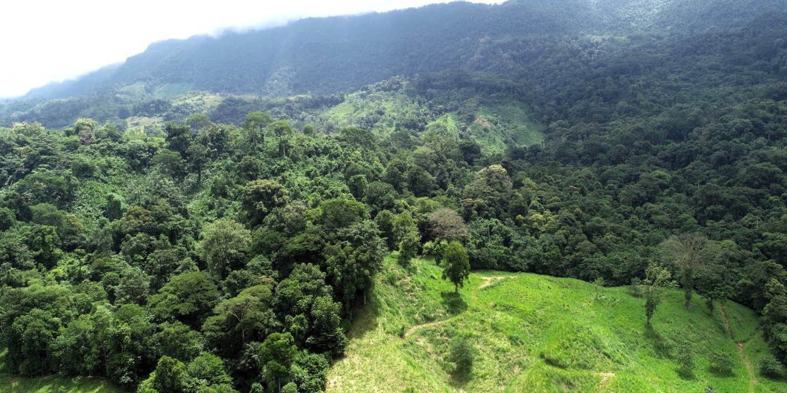 5 (8) 170 Acre Farm with Easy Access, Legal Water, Mountain Views, Forest & Abundant Water in Rio Claro Costa Rica