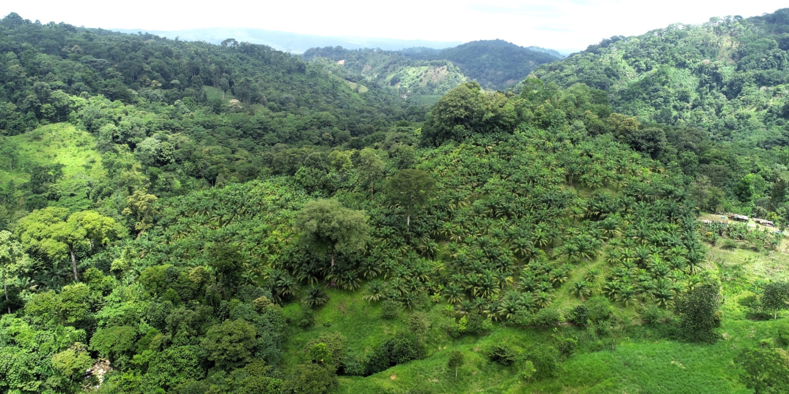 5 (7) 170 Acre Farm with Easy Access, Legal Water, Mountain Views, Forest & Abundant Water in Rio Claro Costa Rica
