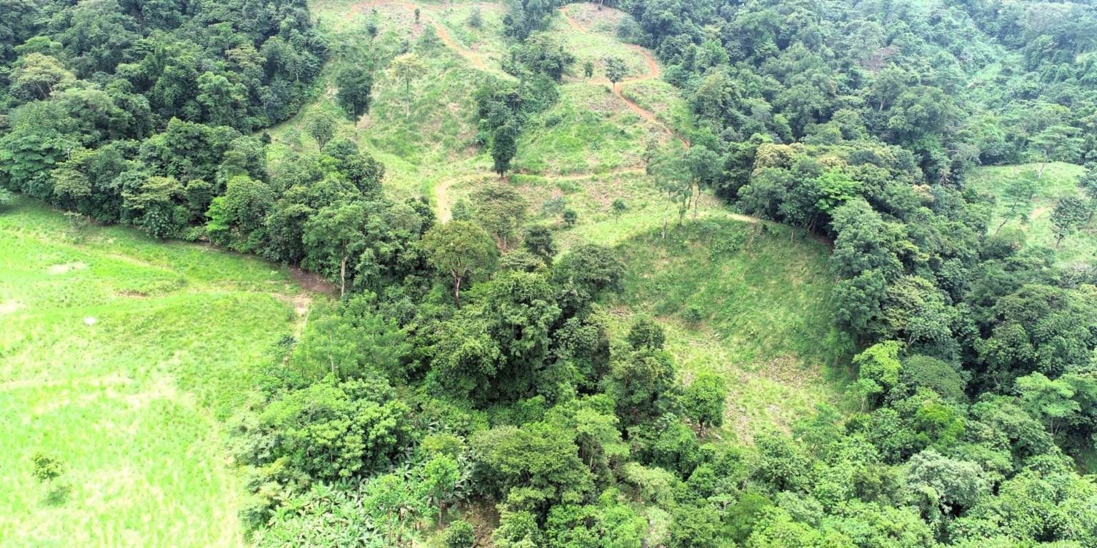 5 (4) 170 Acre Farm with Easy Access, Legal Water, Mountain Views, Forest & Abundant Water in Rio Claro Costa Rica