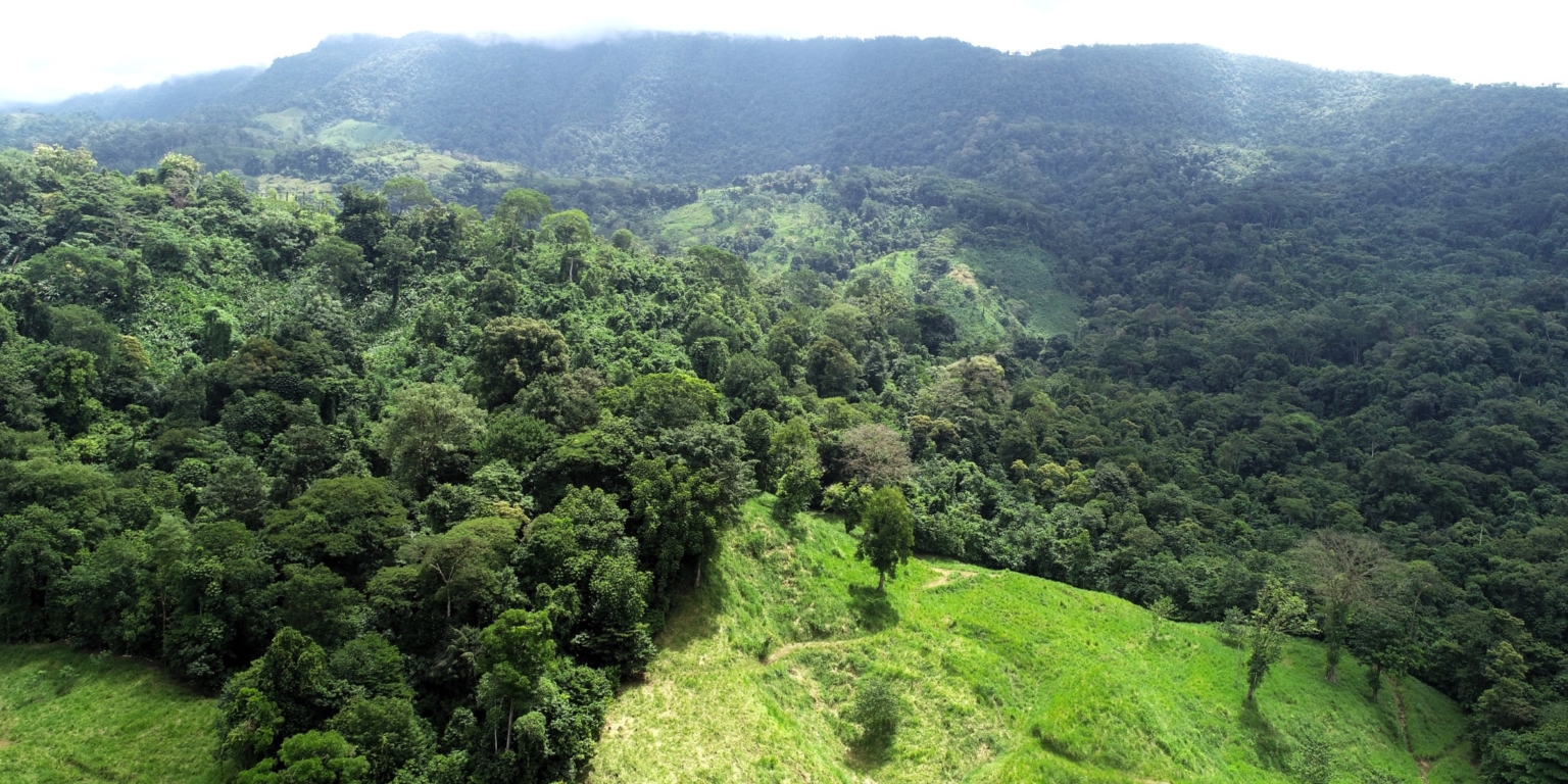 5 (3) 170 Acre Farm with Easy Access, Legal Water, Mountain Views, Forest & Abundant Water in Rio Claro Costa Rica