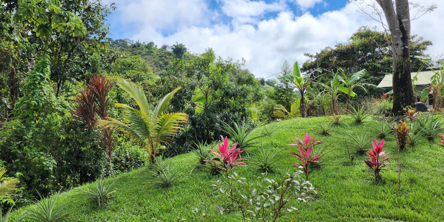 Great Privacy on 2.4 Acres of Land with a 1-Bedroom Home & Beautiful Views of Tinamastes Costa Rica Great Privacy on 2.4 Acres of Land with a 1-Bedroom Home & Beautiful Views of Tinamastes Costa Rica