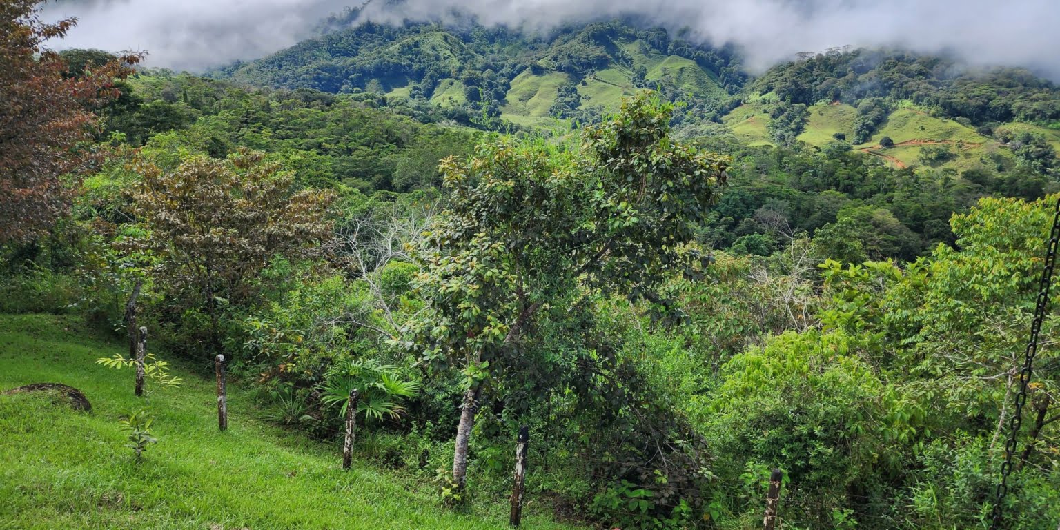 Great Privacy on 2.4 Acres of Land with a 1-Bedroom Home & Beautiful Views of Tinamastes Costa Rica Great Privacy on 2.4 Acres of Land with a 1-Bedroom Home & Beautiful Views of Tinamastes Costa Rica
