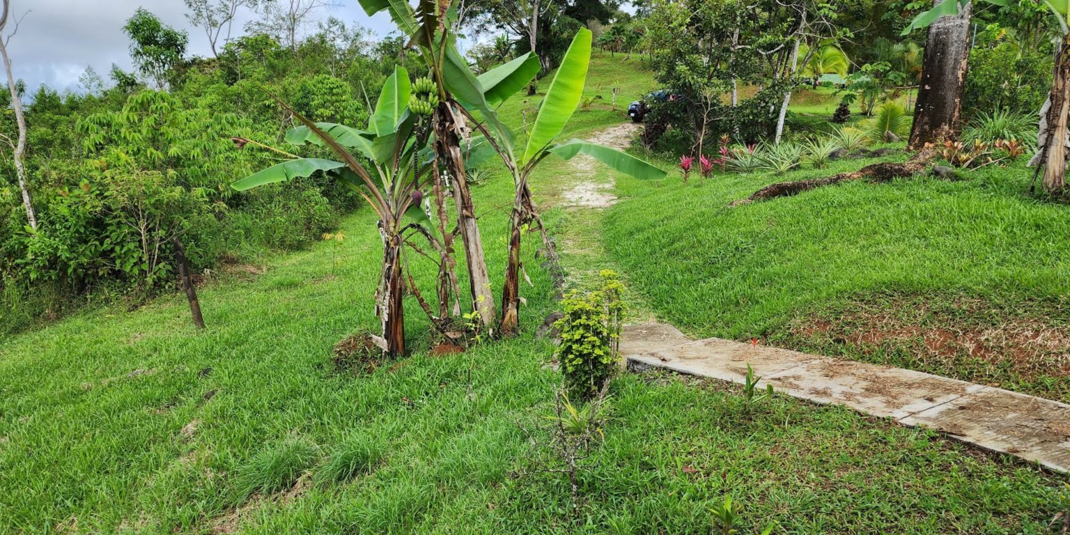 Great Privacy on 2.4 Acres of Land with a 1-Bedroom Home & Beautiful Views of Tinamastes Costa Rica Great Privacy on 2.4 Acres of Land with a 1-Bedroom Home & Beautiful Views of Tinamastes Costa Rica