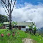 Great Privacy on 2.4 Acres of Land with a 1-Bedroom Home & Beautiful Views of Tinamastes Costa Rica