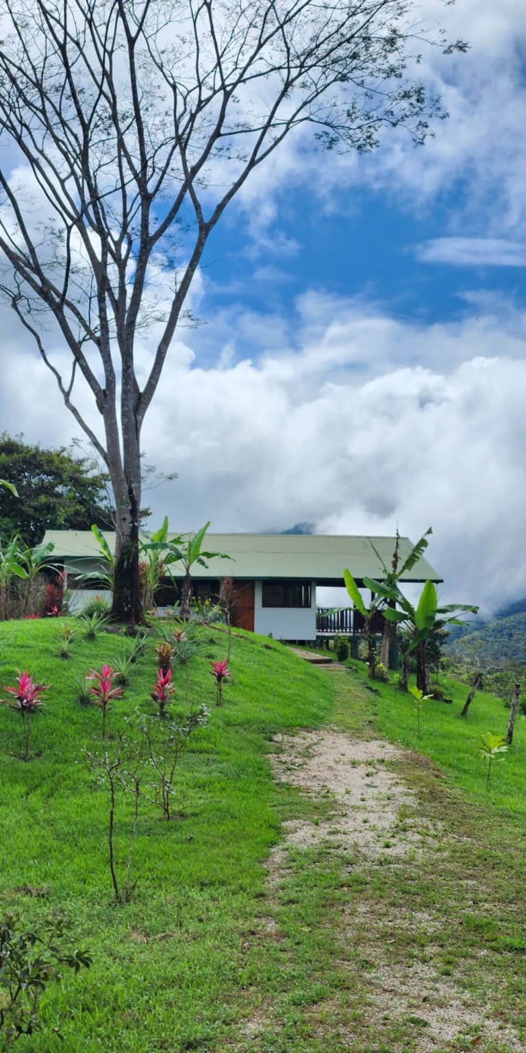 Great Privacy on 2.4 Acres of Land with a 1-Bedroom Home & Beautiful Views of Tinamastes Costa Rica Great Privacy on 2.4 Acres of Land with a 1-Bedroom Home & Beautiful Views of Tinamastes Costa Rica