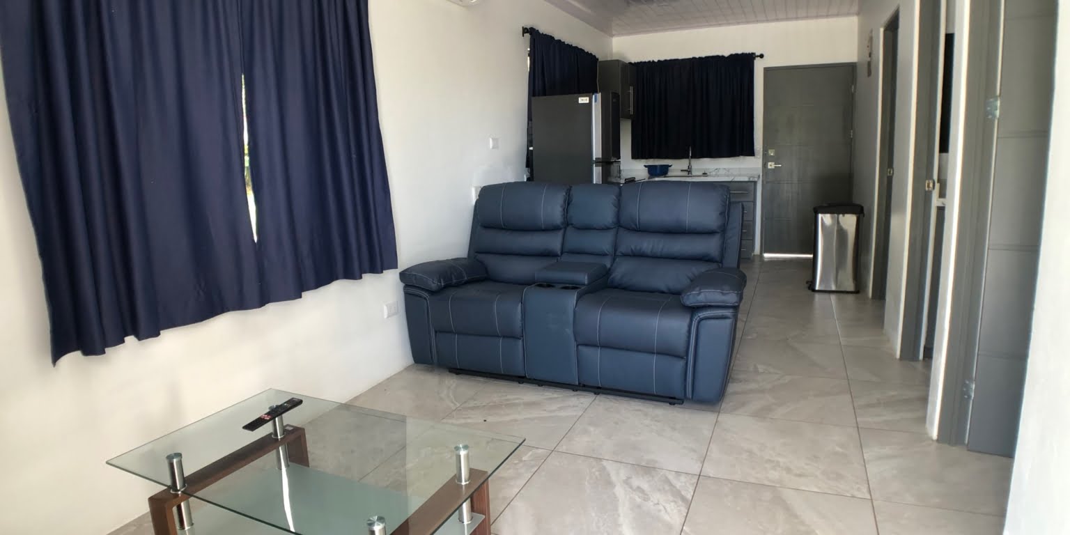 b2.24 Income Property with a 2-Bedroom Owner House & 3 2-Bedroom Apartments in the Heart of Ojochal Costa Rica