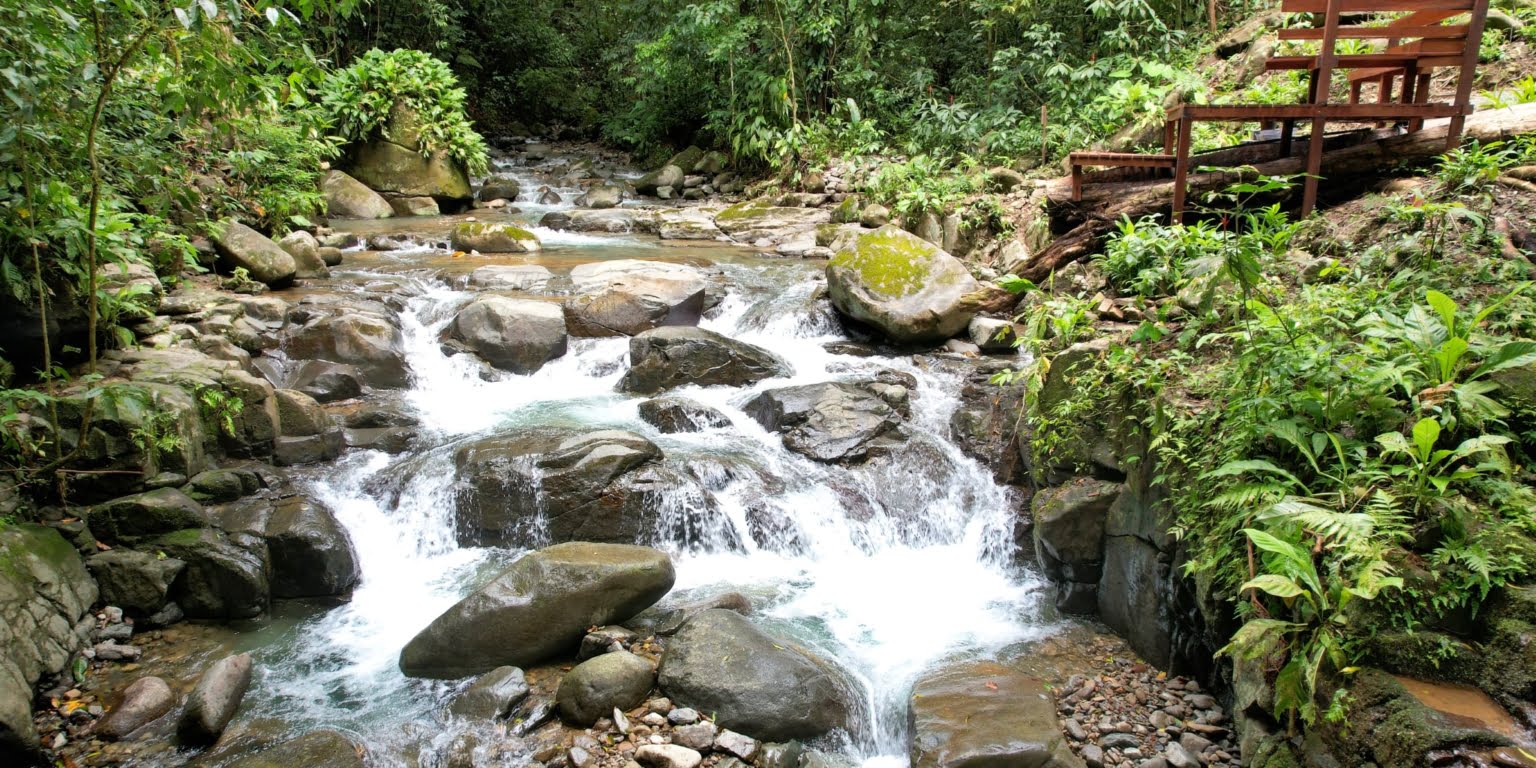 Stunning Modern Luxury Ocean View 3-Bedroom Home on Nearly 10 Acres with Private River Trails in Ojochal Costa RicaStunning Modern Luxury Ocean View 3-Bedroom Home on Nearly 10 Acres with Private River Trails in Ojochal Costa Rica Stunning Modern Luxury Ocean View 3-Bedroom Home on Nearly 10 Acres with Private River Trails in Ojochal Costa Rica