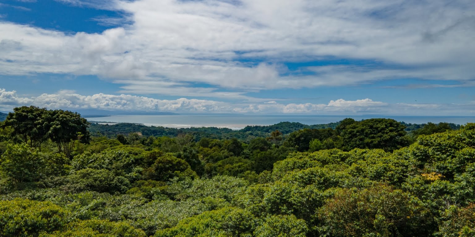 Stunning Modern Luxury Ocean View 3-Bedroom Home on Nearly 10 Acres with Private River Trails in Ojochal Costa RicaStunning Modern Luxury Ocean View 3-Bedroom Home on Nearly 10 Acres with Private River Trails in Ojochal Costa Rica Stunning Modern Luxury Ocean View 3-Bedroom Home on Nearly 10 Acres with Private River Trails in Ojochal Costa Rica