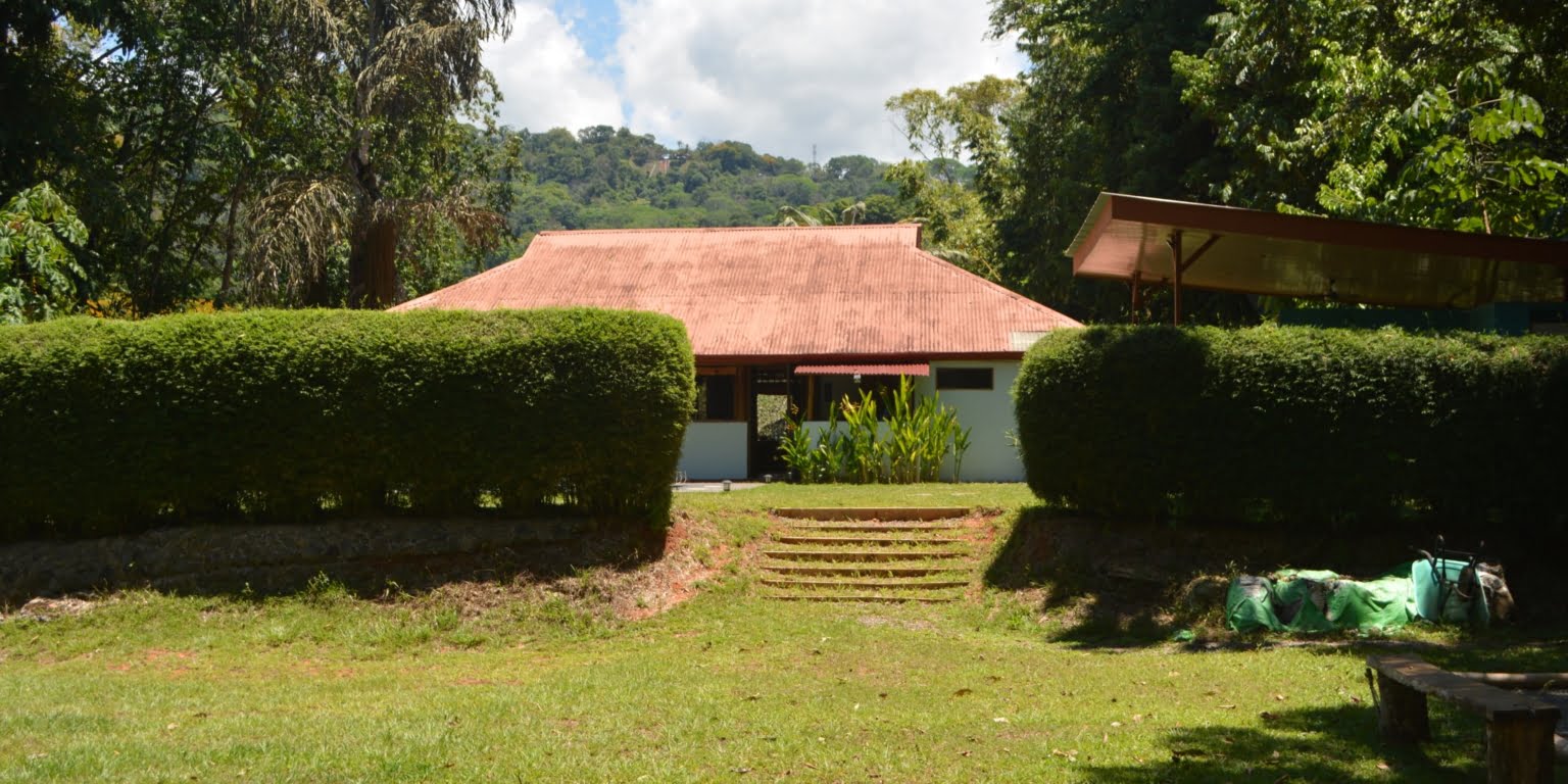 DSC_0211 Private 3-Bedroom Mountain Home with 3.6 Acres on a Private Ridge with Lush Rainforest & Mountain Views in Platanillo Costa Rica