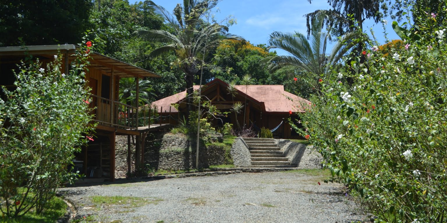 DSC_0122 Private 3-Bedroom Mountain Home with 3.6 Acres on a Private Ridge with Lush Rainforest & Mountain Views in Platanillo Costa Rica