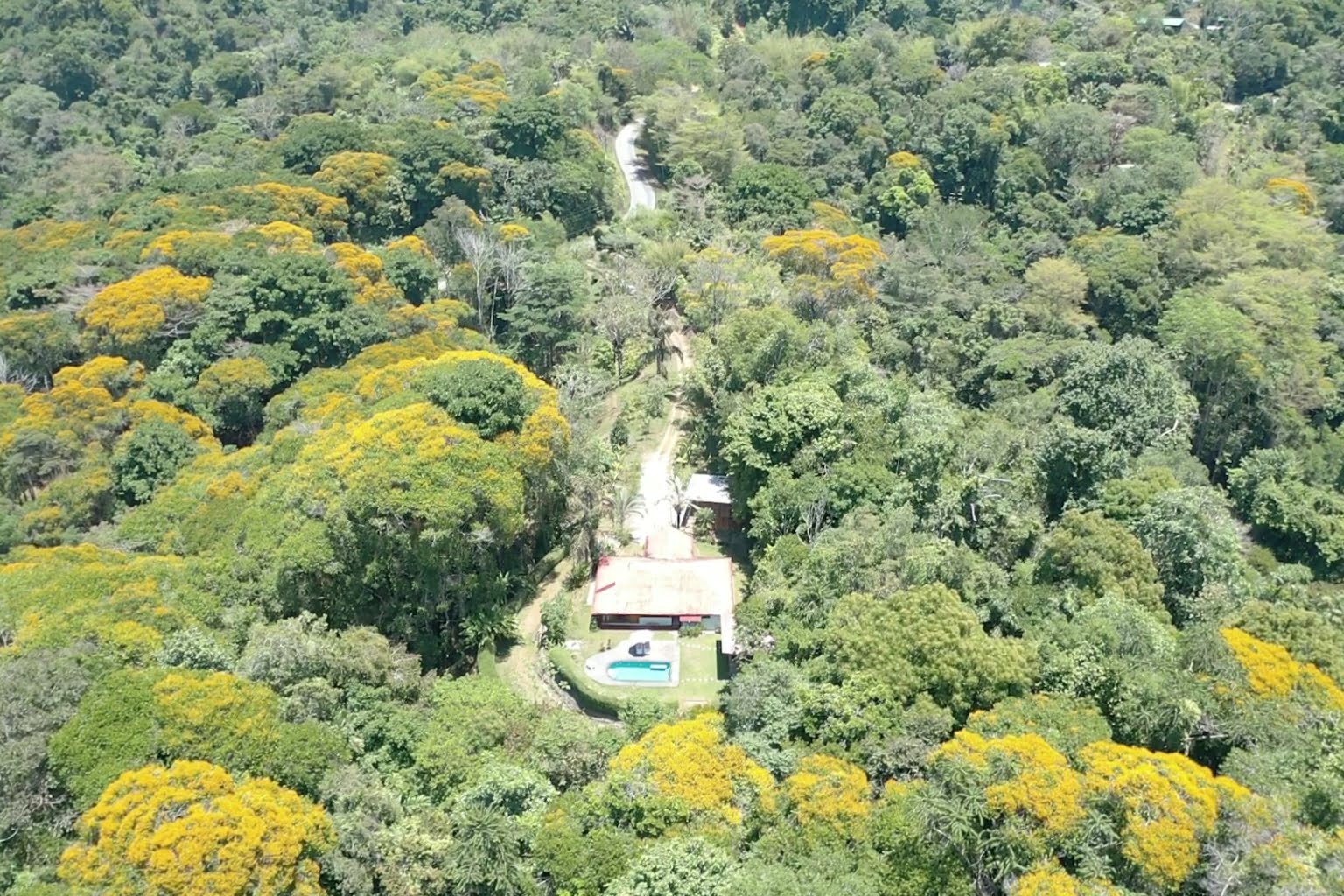 screen_1821a3e688b3d832_1679593397542 Private 3-Bedroom Mountain Home with 3.6 Acres on a Private Ridge with Lush Rainforest & Mountain Views in Platanillo Costa Rica