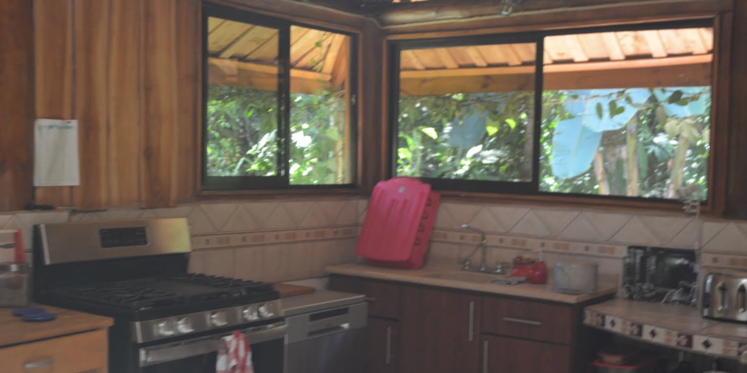 DSC_0155 Private 3-Bedroom Mountain Home with 3.6 Acres on a Private Ridge with Lush Rainforest & Mountain Views in Platanillo Costa Rica