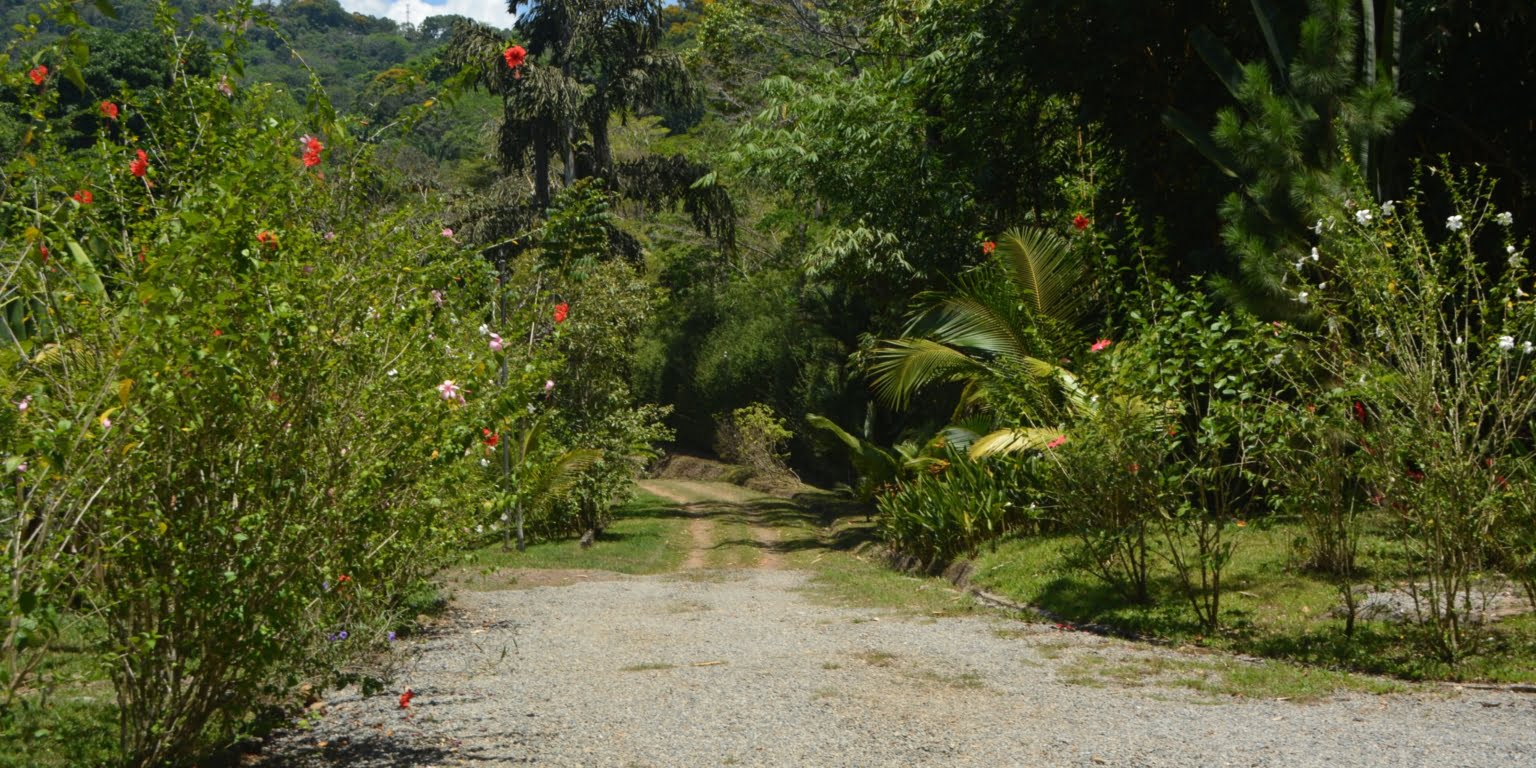 DSC_0120 Private 3-Bedroom Mountain Home with 3.6 Acres on a Private Ridge with Lush Rainforest & Mountain Views in Platanillo Costa Rica