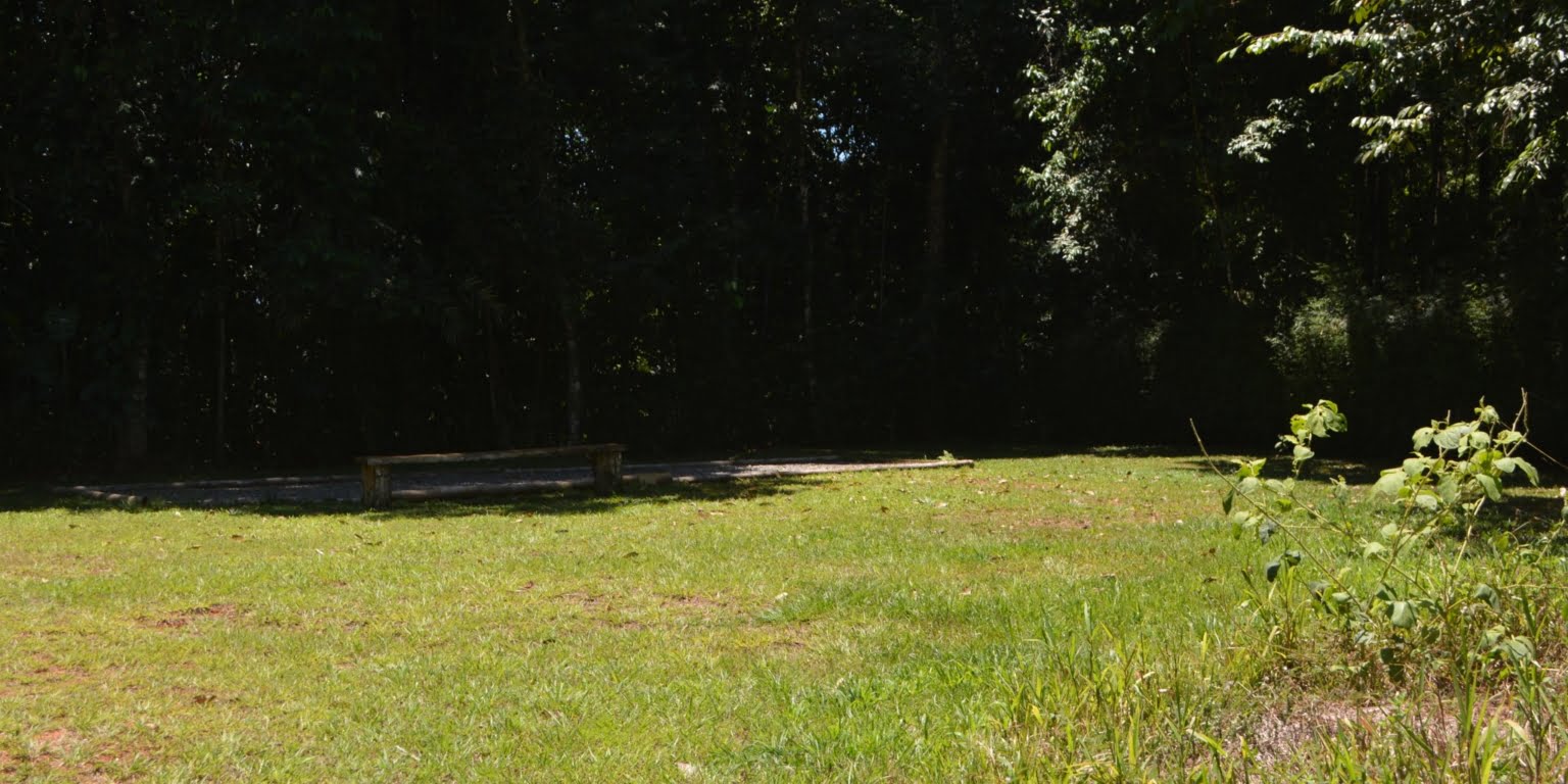 DSC_0210 Private 3-Bedroom Mountain Home with 3.6 Acres on a Private Ridge with Lush Rainforest & Mountain Views in Platanillo Costa Rica