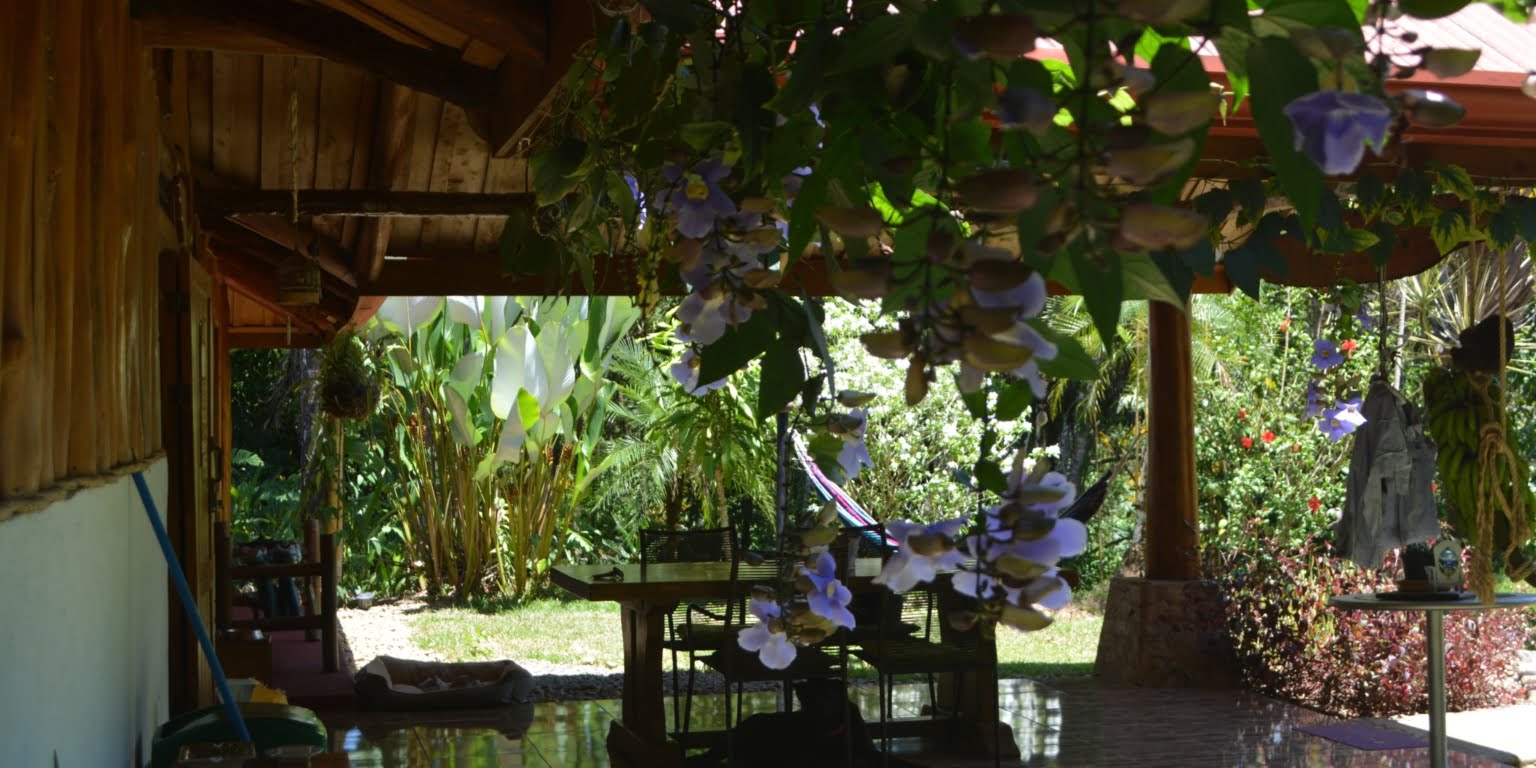 DSC_0148 Private 3-Bedroom Mountain Home with 3.6 Acres on a Private Ridge with Lush Rainforest & Mountain Views in Platanillo Costa Rica