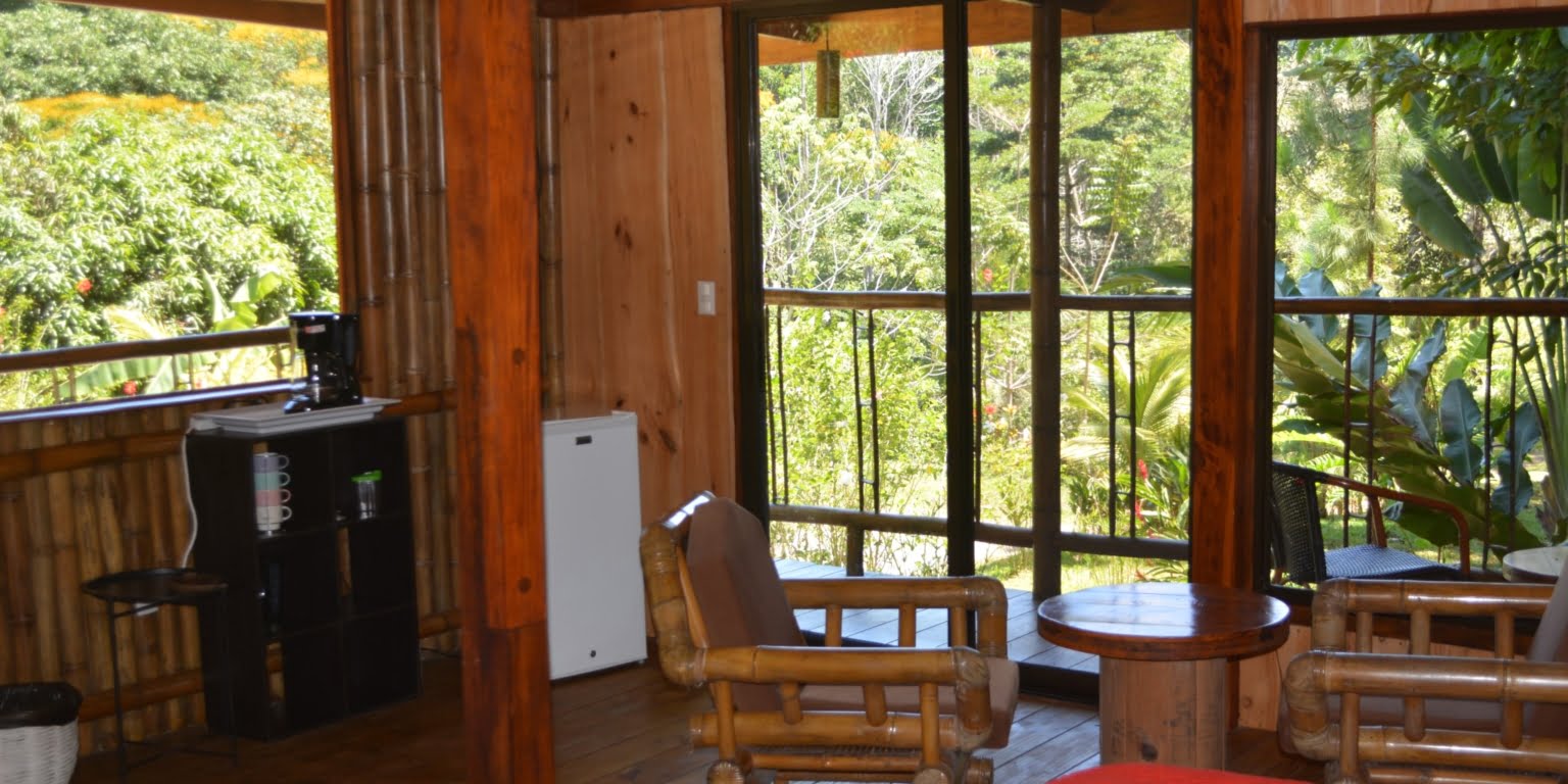 DSC_0140 Private 3-Bedroom Mountain Home with 3.6 Acres on a Private Ridge with Lush Rainforest & Mountain Views in Platanillo Costa Rica