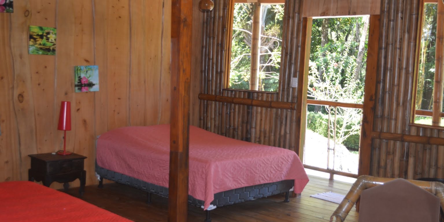 DSC_0139 Private 3-Bedroom Mountain Home with 3.6 Acres on a Private Ridge with Lush Rainforest & Mountain Views in Platanillo Costa Rica