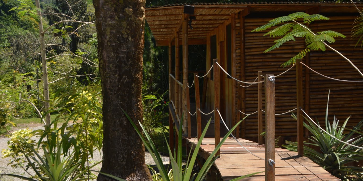 DSC_0136 Private 3-Bedroom Mountain Home with 3.6 Acres on a Private Ridge with Lush Rainforest & Mountain Views in Platanillo Costa Rica