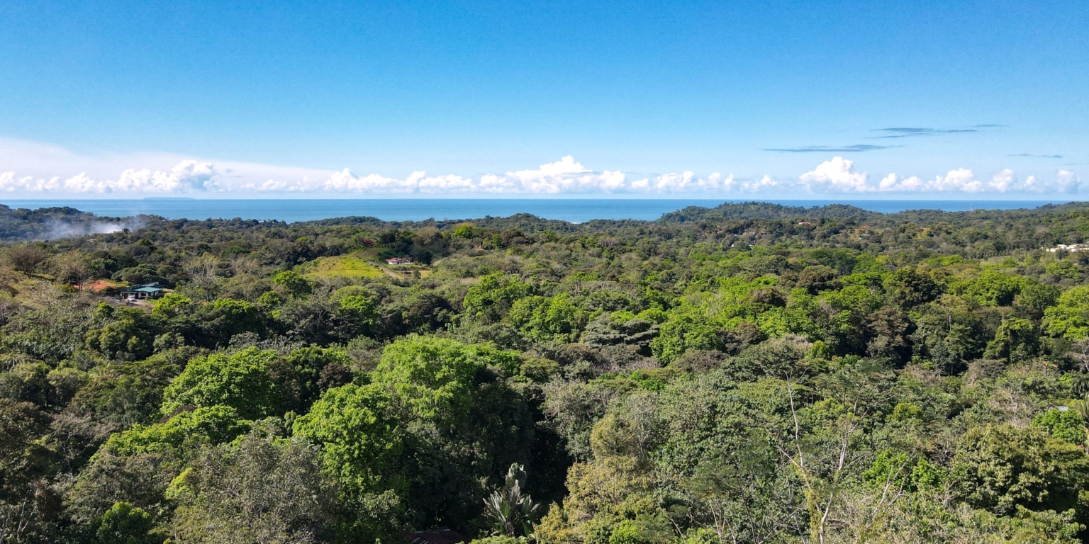 5394 – Ojochal Calle Cascada 3 Bedroom House #28 Expansive Oceanview from this 4-Bedroom Home with Big Pool In Ojochal Costa Rica