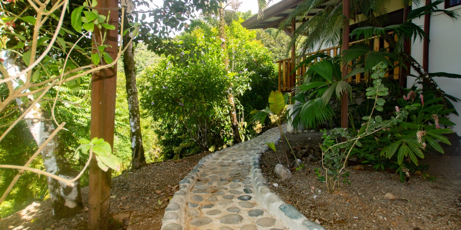 Expansive Oceanview from this 4-Bedroom Home with Big Pool In Ojochal Costa Rica Expansive Oceanview from this 4-Bedroom Home with Big Pool In Ojochal Costa Rica