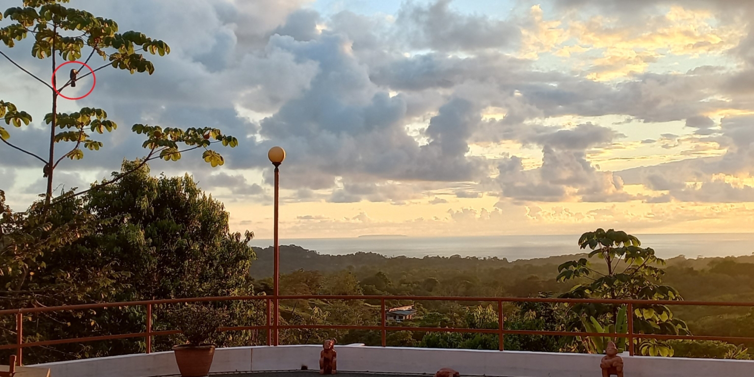 Expansive Oceanview from this 4-Bedroom Home with Big Pool In Ojochal Costa Rica Expansive Oceanview from this 4-Bedroom Home with Big Pool In Ojochal Costa Rica