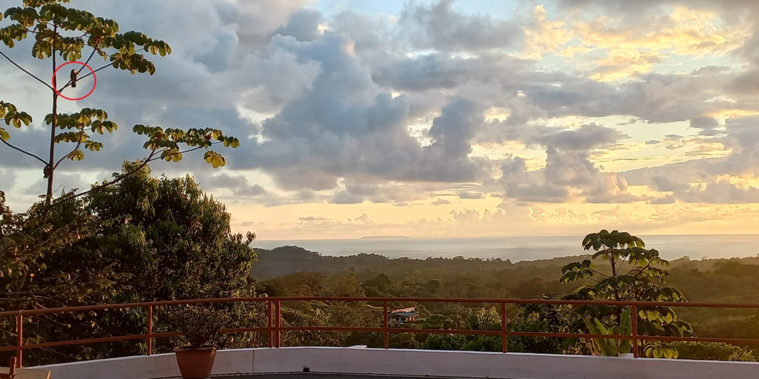 Expansive Oceanview from this 4-Bedroom Home with Big Pool In Ojochal Costa Rica Expansive Oceanview from this 4-Bedroom Home with Big Pool In Ojochal Costa Rica