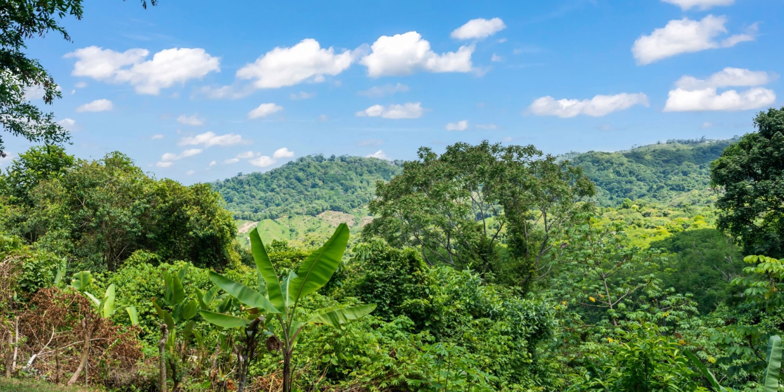 Lagunas 3 Bed OV Mountain Home_31 Ocean View 3-Bedroom Home with Pool in the Mountains of Lagunas near Dominical Costa Rica