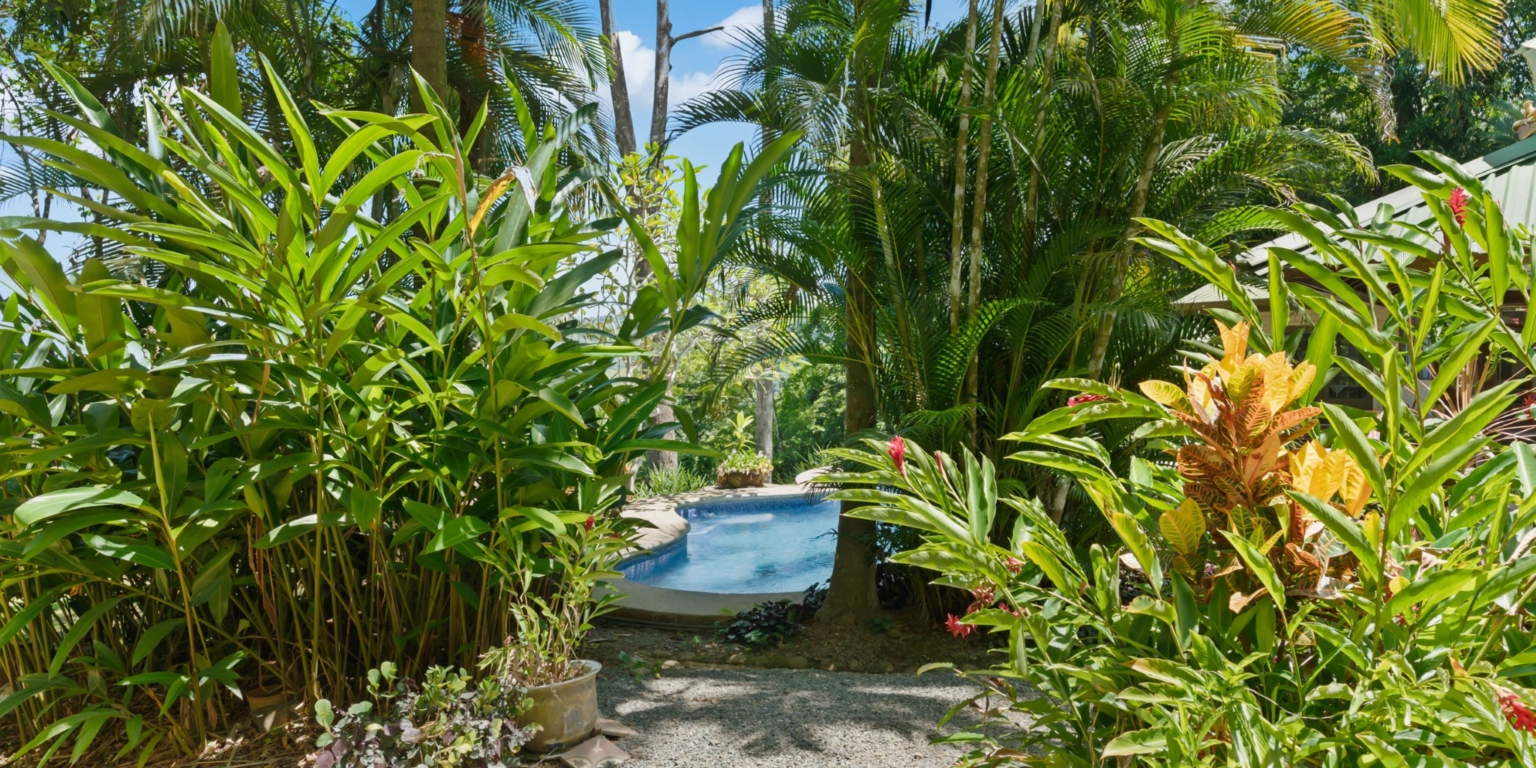 Lagunas 3 Bed OV Mountain Home_30 Ocean View 3-Bedroom Home with Pool in the Mountains of Lagunas near Dominical Costa Rica