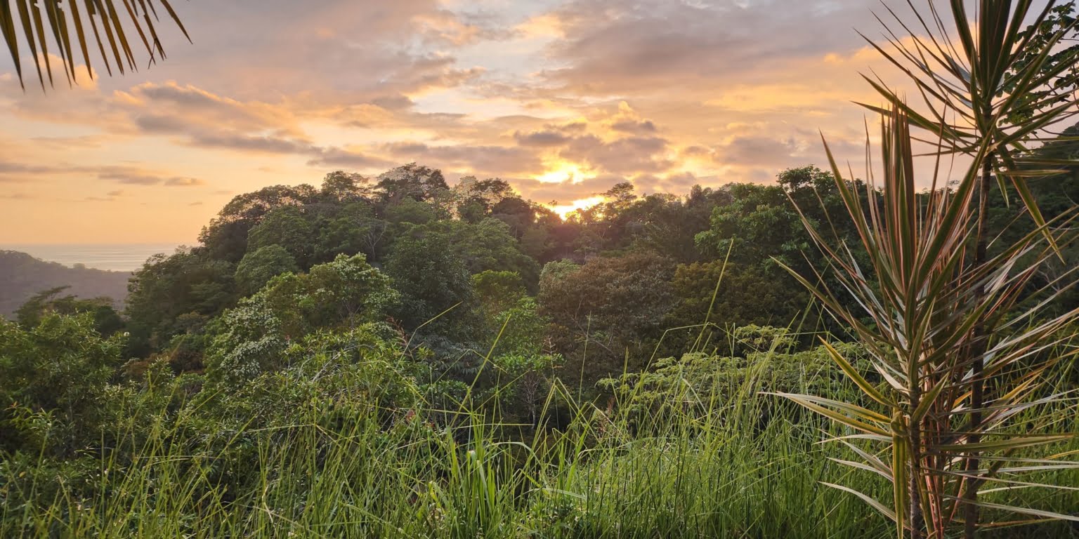 PLT173 – 40 Private Luxury Ocean View 2-Bedroom Home on 2.5 Acres for Great Privacy and Great Rental Potential in Platanillo above Dominical Costa Rica