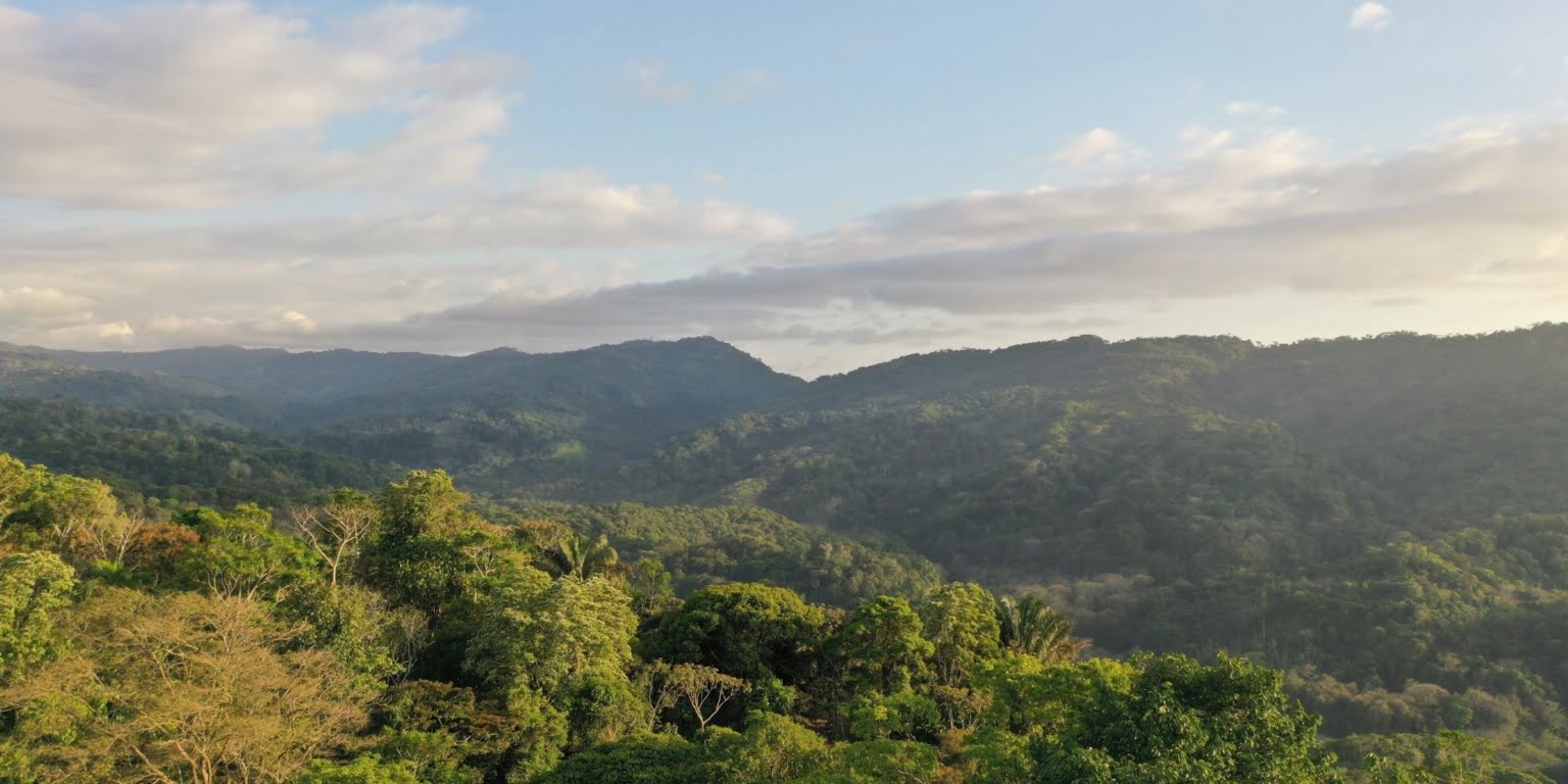 PLT173 – 36 Private Luxury Ocean View 2-Bedroom Home on 2.5 Acres for Great Privacy and Great Rental Potential in Platanillo above Dominical Costa Rica