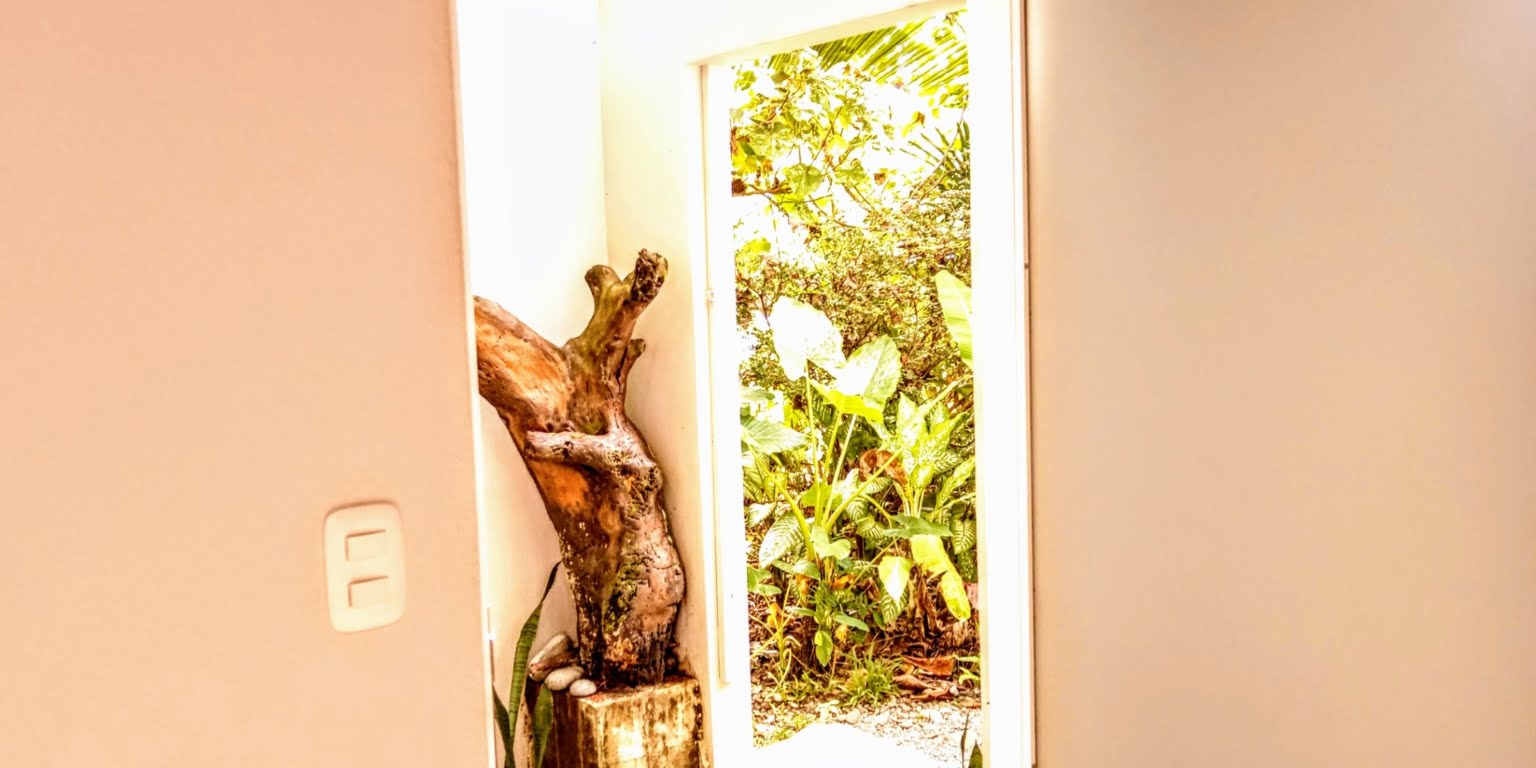 An Oasis in Uvita with Two Homes, Two Cabinas & more – Perfect for Rental or Retreat in Uvita Costa Rica