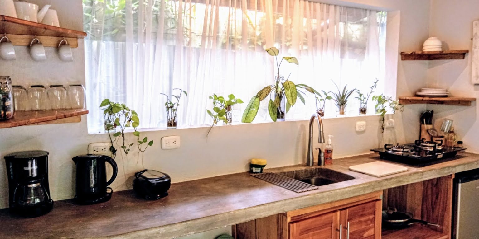 An Oasis in Uvita with Two Homes, Two Cabinas & more – Perfect for Rental or Retreat in Uvita Costa Rica