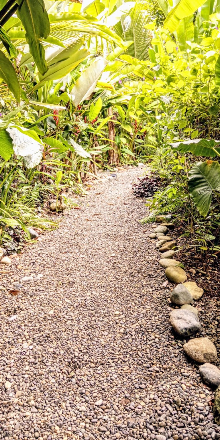 An Oasis in Uvita with Two Homes, Two Cabinas & more – Perfect for Rental or Retreat in Uvita Costa Rica