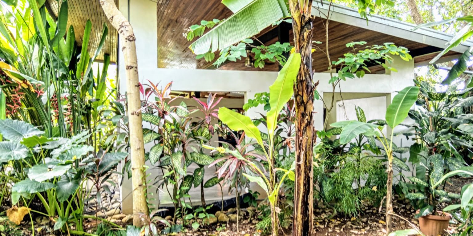 An Oasis in Uvita with Two Homes, Two Cabinas & more – Perfect for Rental or Retreat in Uvita Costa Rica