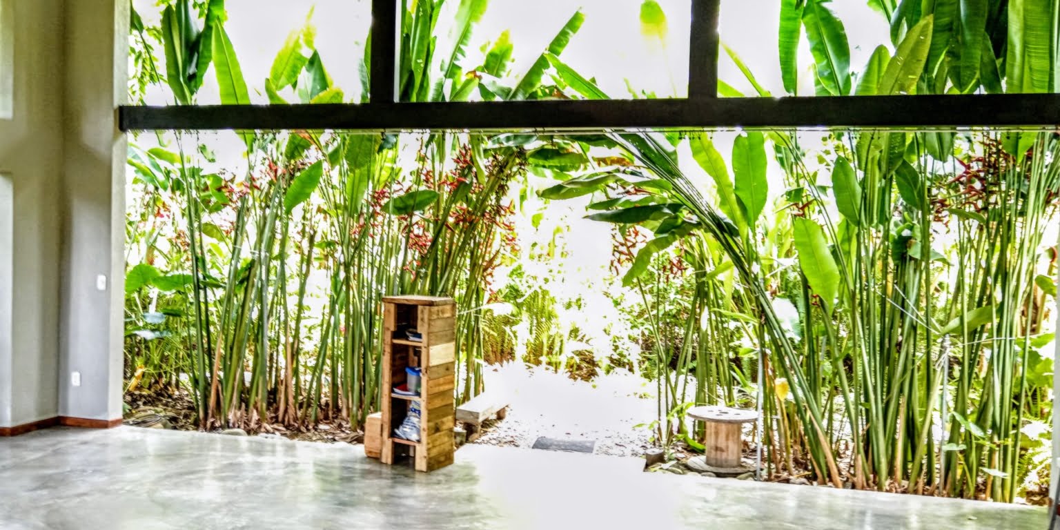 An Oasis in Uvita with Two Homes, Two Cabinas & more – Perfect for Rental or Retreat in Uvita Costa Rica