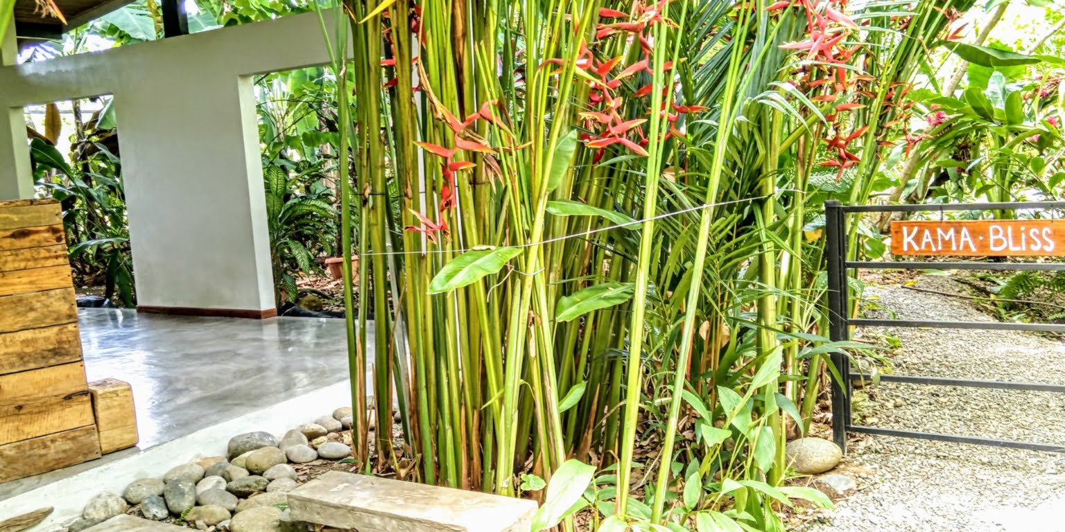 An Oasis in Uvita with Two Homes, Two Cabinas & more – Perfect for Rental or Retreat in Uvita Costa Rica