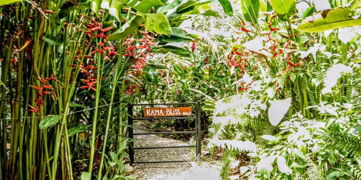 An Oasis in Uvita with Two Homes, Two Cabinas & more – Perfect for Rental or Retreat in Uvita Costa Rica