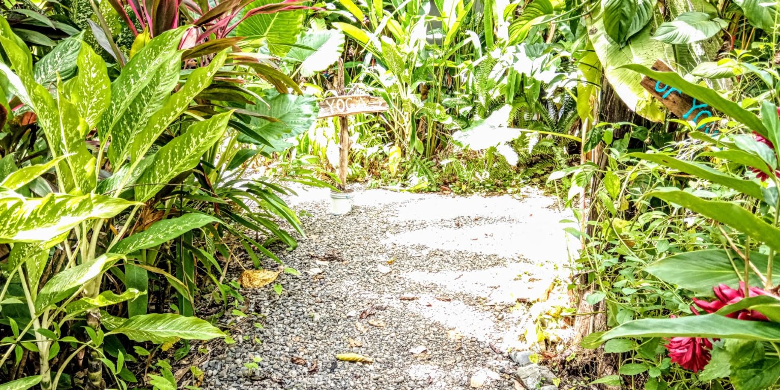 An Oasis in Uvita with Two Homes, Two Cabinas & more – Perfect for Rental or Retreat in Uvita Costa Rica