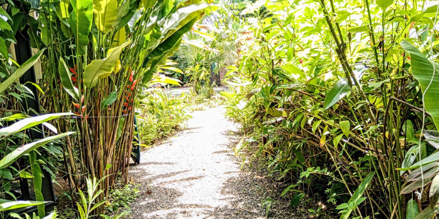An Oasis in Uvita with Two Homes, Two Cabinas & more – Perfect for Rental or Retreat in Uvita Costa Rica