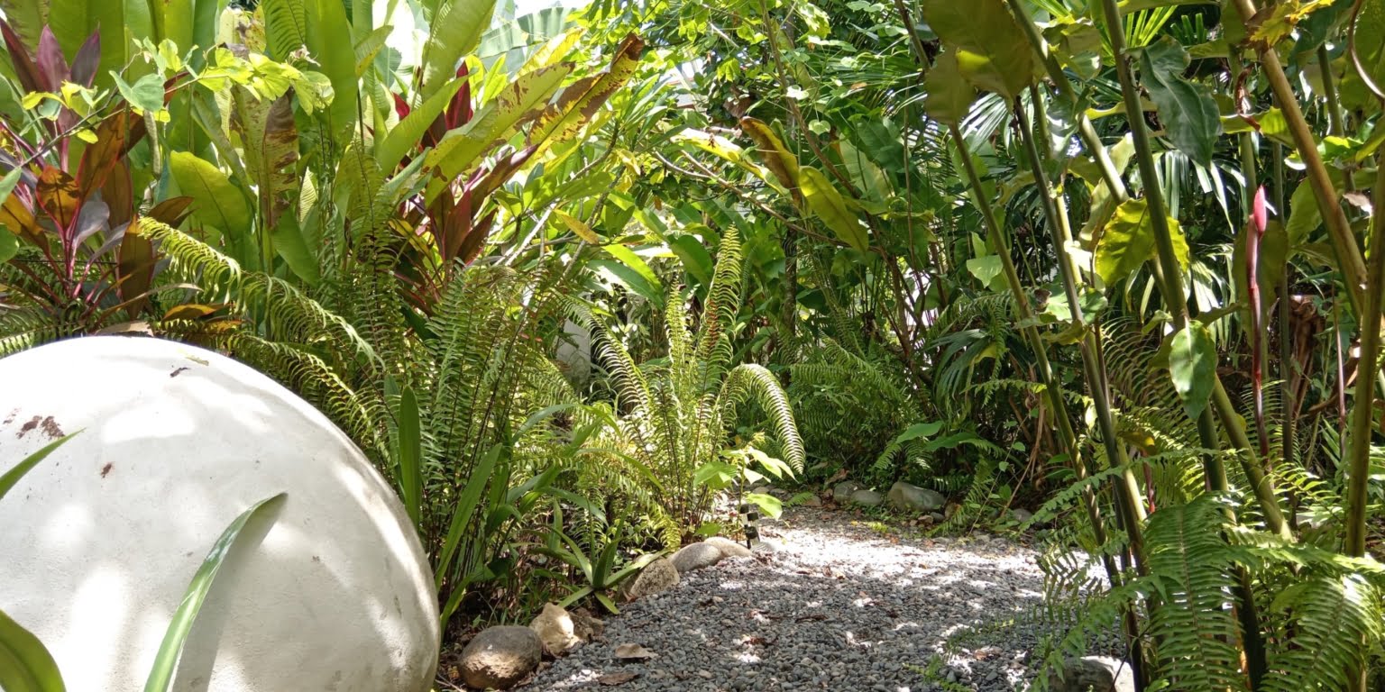 An Oasis in Uvita with Two Homes, Two Cabinas & more – Perfect for Rental or Retreat in Uvita Costa Rica