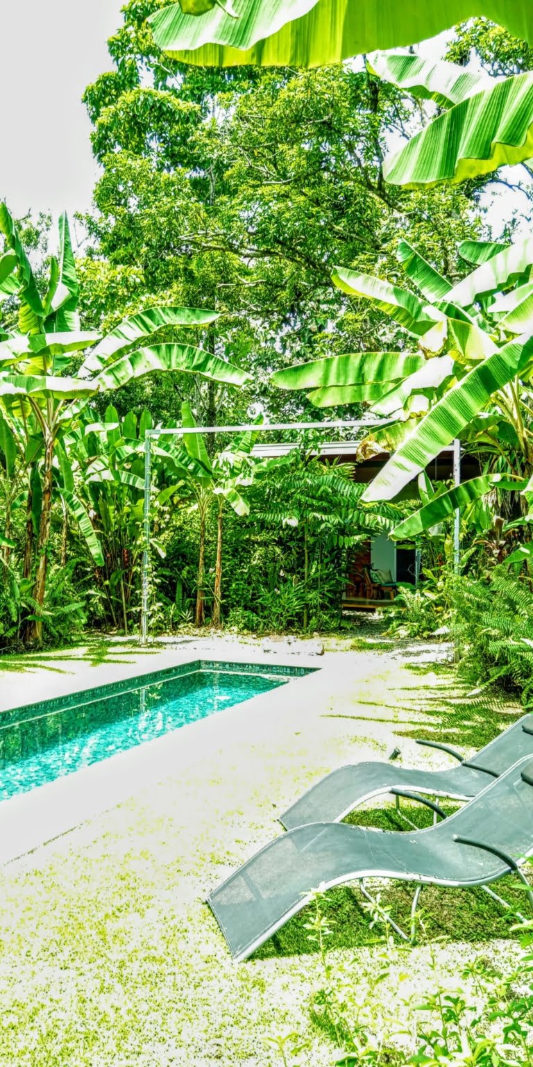 An Oasis in Uvita with Two Homes, Two Cabinas & more – Perfect for Rental or Retreat in Uvita Costa Rica