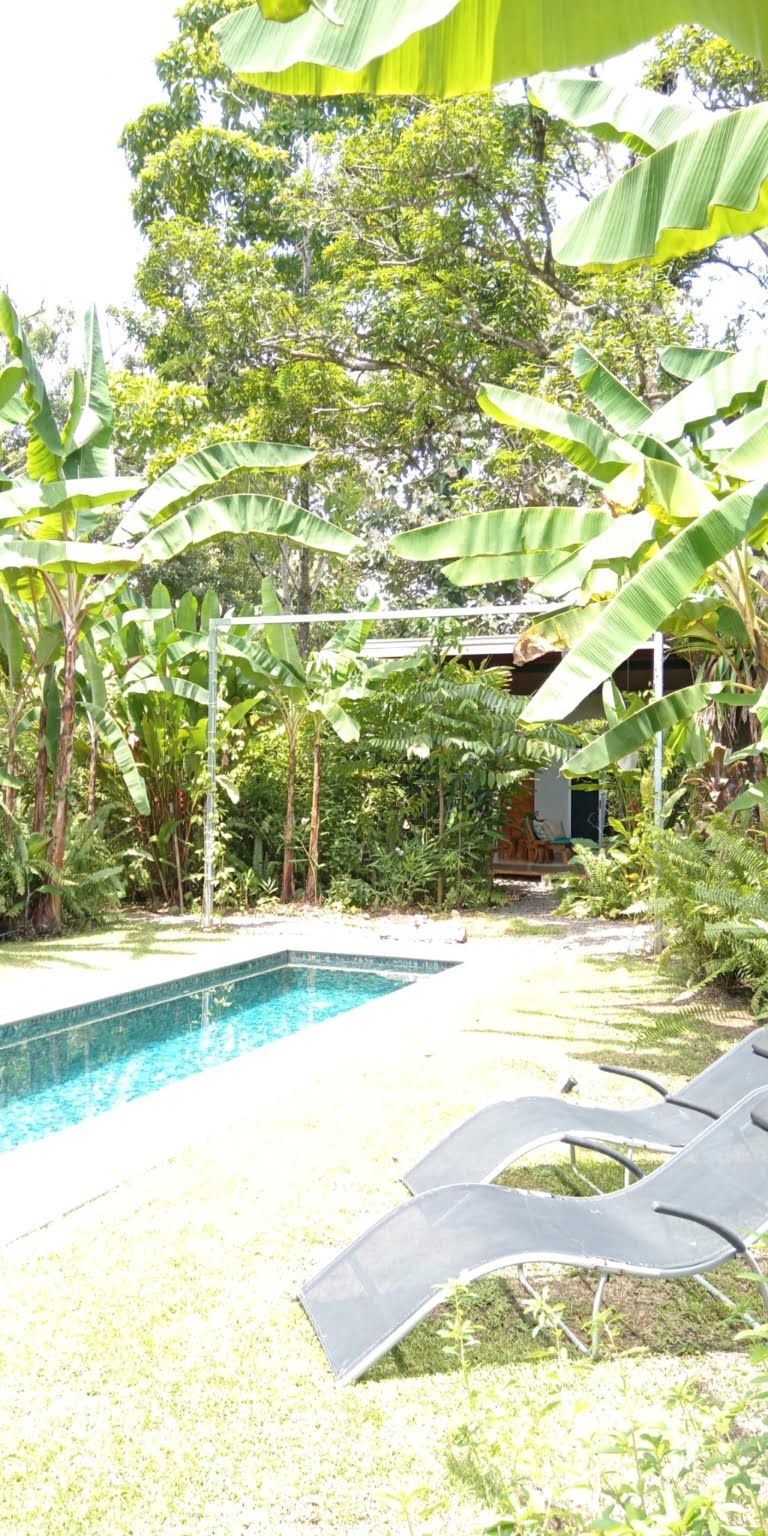 An Oasis in Uvita with Two Homes, Two Cabinas & more – Perfect for Rental or Retreat in Uvita Costa Rica