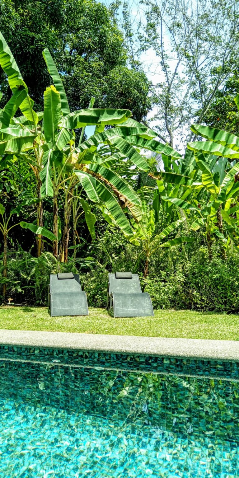 An Oasis in Uvita with Two Homes, Two Cabinas & more – Perfect for Rental or Retreat in Uvita Costa Rica