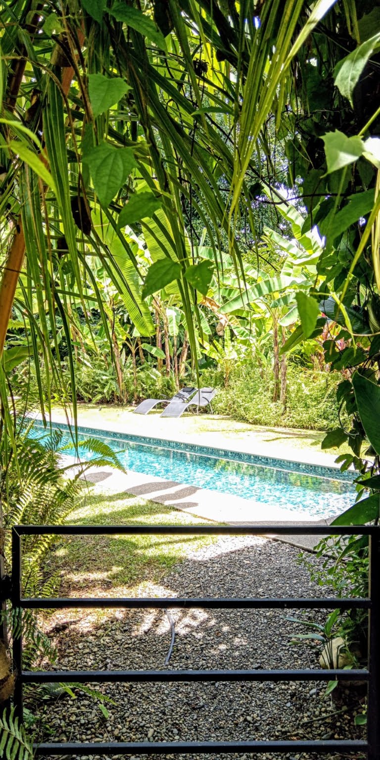 An Oasis in Uvita with Two Homes, Two Cabinas & more – Perfect for Rental or Retreat in Uvita Costa Rica