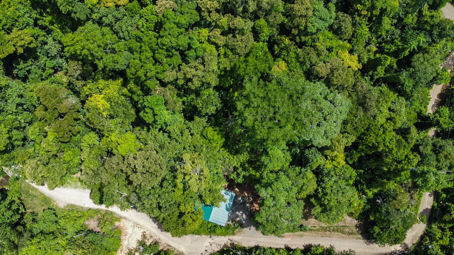 Prime Investment Fixer Upper Opportunity in Premier Location in Uvita Costa Rica Prime Investment Fixer Upper Opportunity in Premier Location in Uvita Costa Rica