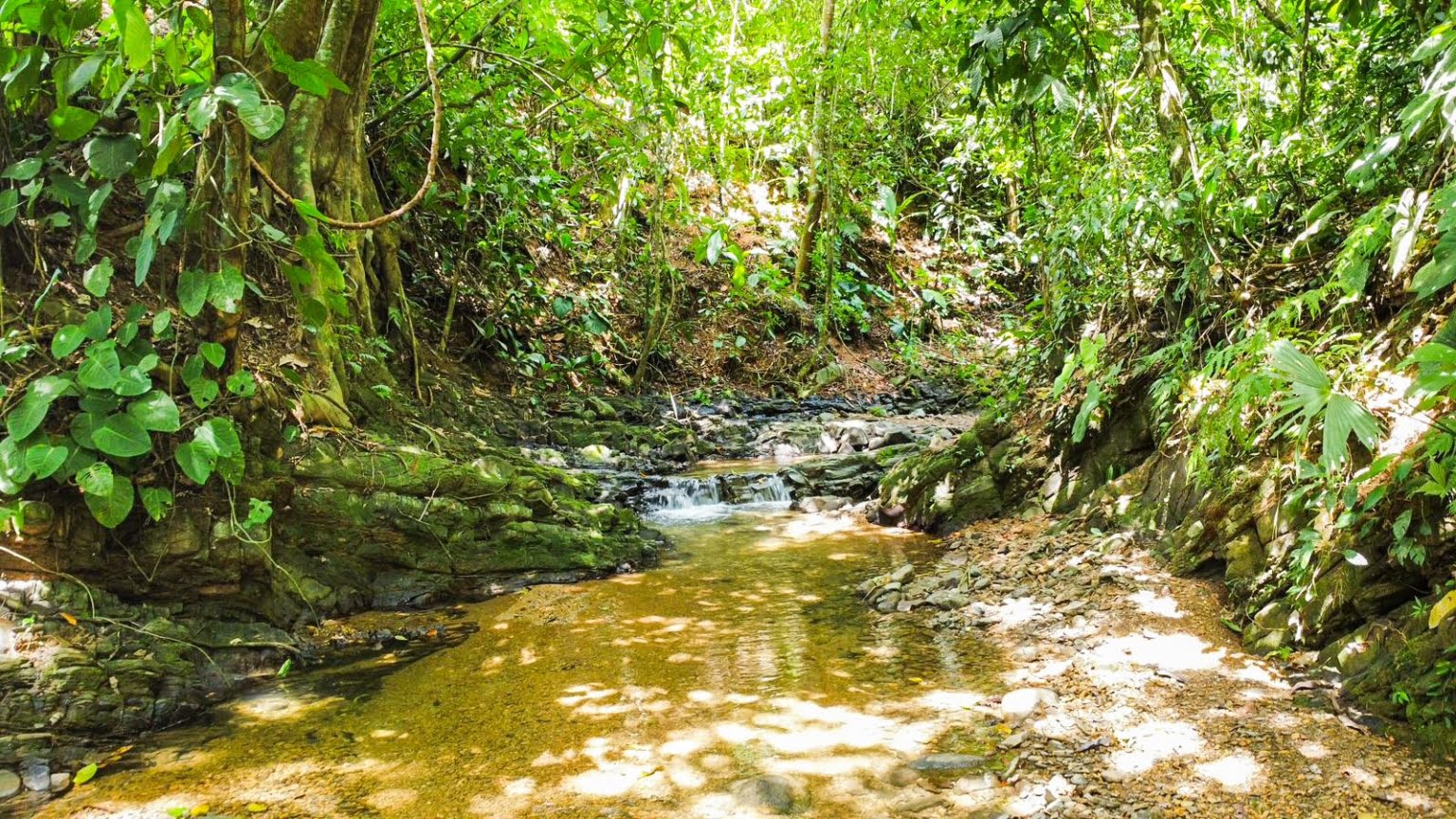 Prime Investment Fixer Upper Opportunity in Premier Location in Uvita Costa Rica Prime Investment Fixer Upper Opportunity in Premier Location in Uvita Costa Rica