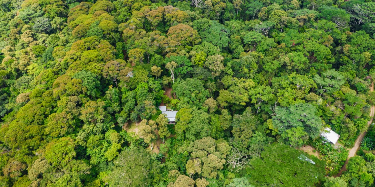 DiegoMora_Lagunas_print-054 Great Retreat or Family Compound Property with Multiple Units, Perfect for Wellness Retreat Business in Lagunas near Dominical Costa Rica
